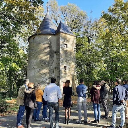 Chateau De Mornay Saint-Pierre-de-l'Isle Zewnętrze zdjęcie
