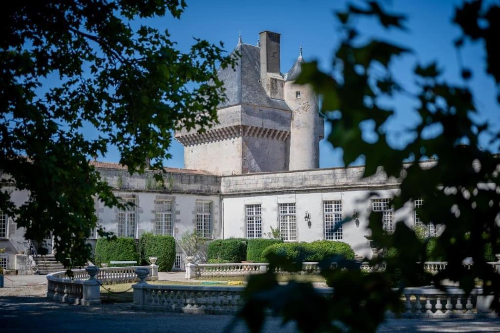 Chateau De Mornay Saint-Pierre-de-l'Isle Zewnętrze zdjęcie